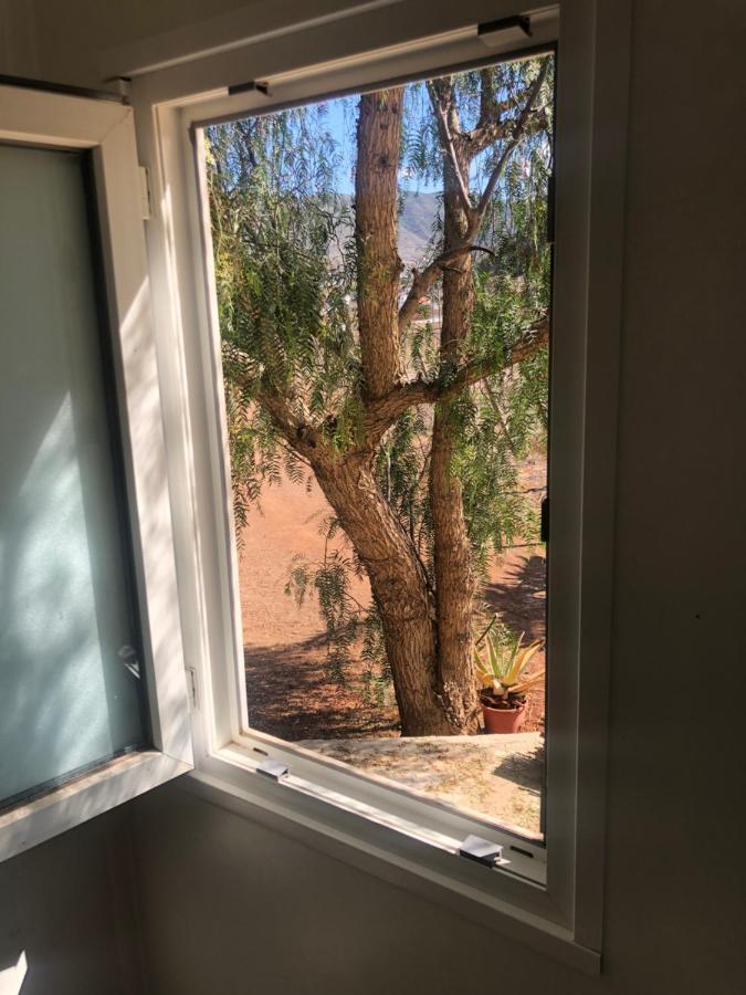 Casita Entre Vinedos, Experiencia Rural, Ideal Ninos. Tegueste Zewnętrze zdjęcie