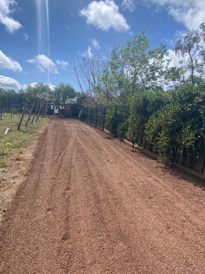 Casita Entre Vinedos, Experiencia Rural, Ideal Ninos. Tegueste Zewnętrze zdjęcie