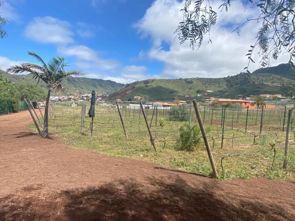 Casita Entre Vinedos, Experiencia Rural, Ideal Ninos. Tegueste Zewnętrze zdjęcie