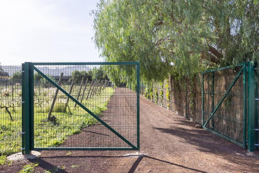 Casita Entre Vinedos, Experiencia Rural, Ideal Ninos. Tegueste Zewnętrze zdjęcie