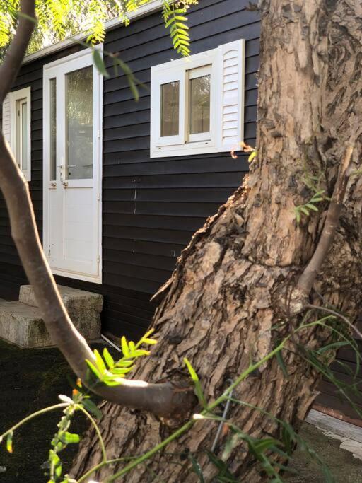 Casita Entre Vinedos, Experiencia Rural, Ideal Ninos. Tegueste Zewnętrze zdjęcie