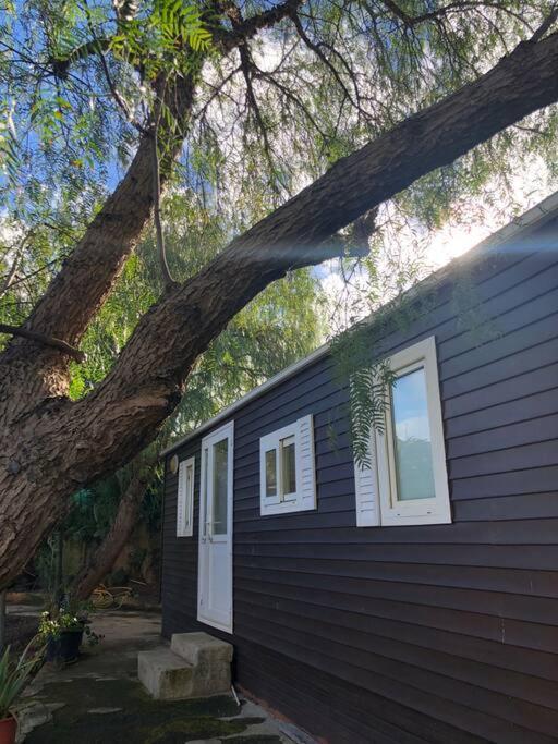 Casita Entre Vinedos, Experiencia Rural, Ideal Ninos. Tegueste Zewnętrze zdjęcie