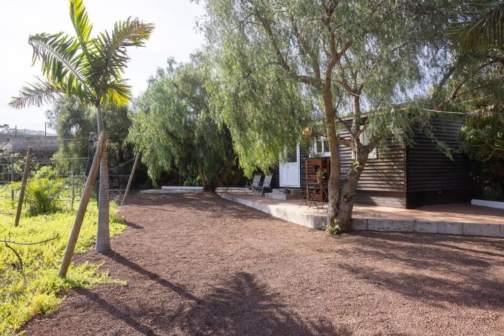 Casita Entre Vinedos, Experiencia Rural, Ideal Ninos. Tegueste Zewnętrze zdjęcie